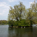 20140424 1626VRAw [D~BI] Obersee, BI-Schildesche