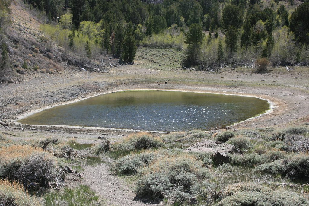 Church's Pond