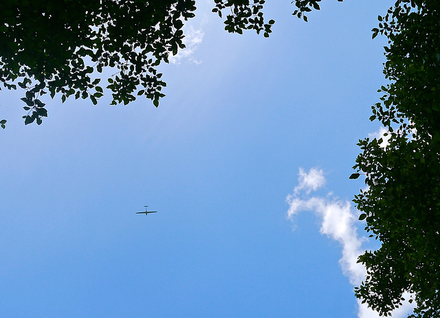 Glider in the Sky