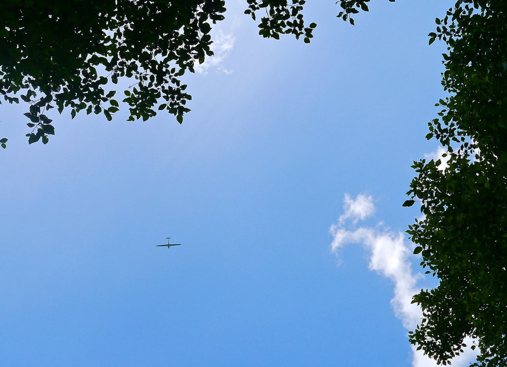 Glider in the Sky