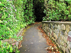 Kaitoki Waterworks Park.