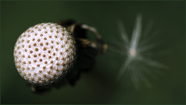 Faire la balle....