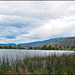 Tuc - El - Nuit Lake, Oliver, BC Canada