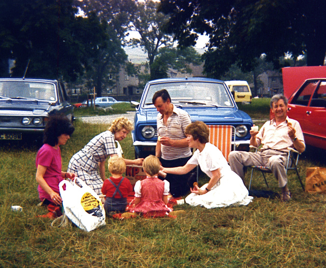 The Picnic