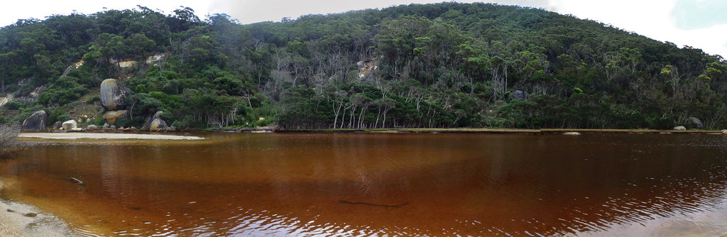 Tidal River in the winter