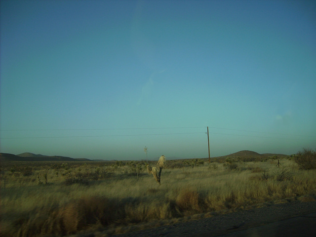 Columbus Electric Cooperative (CEC) 7,620V - near Lordsburg, NM