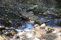 South Fork, White's Creek