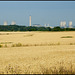 summer fields of Didcot