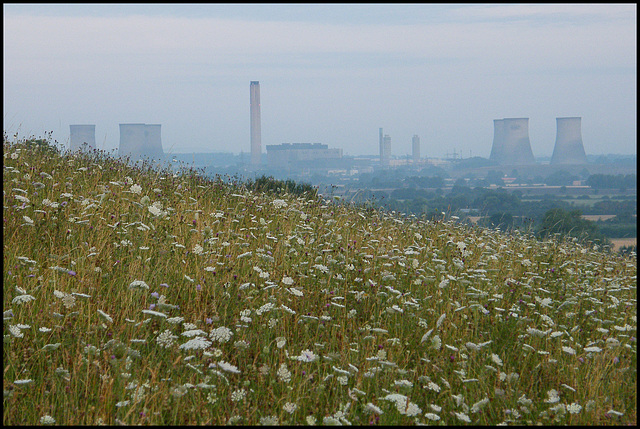 summer towers