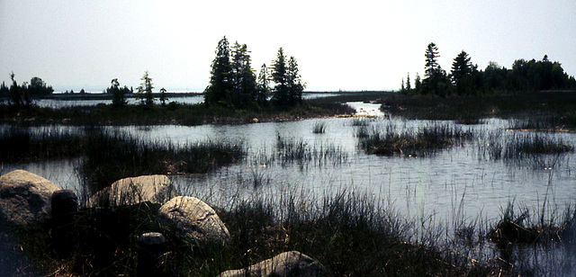 Lake Michigan Shoreline