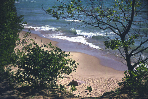 Lake Michigan Beach