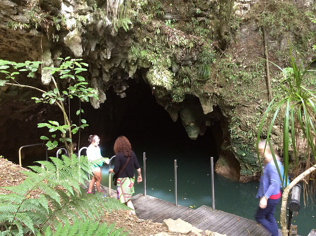 Waitomo Cave