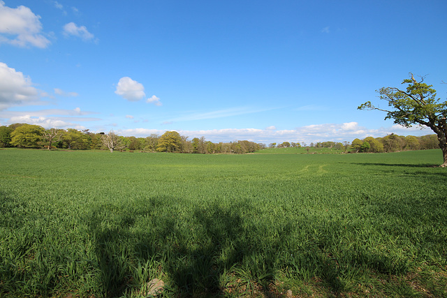 Glasserton House Estate, Whithorn, Dumfries and Galloway