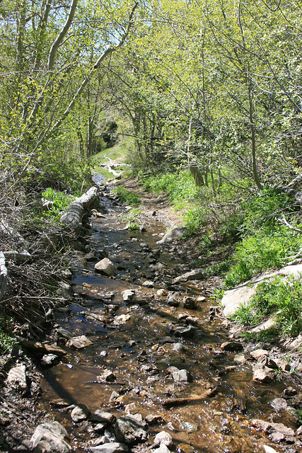 San Juan Creek