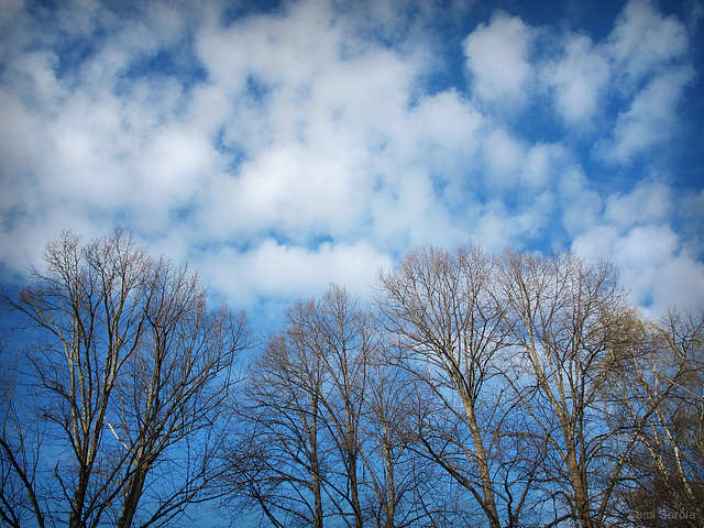 Fluffy clouds