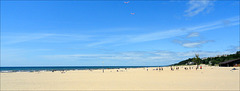 Sky, Holland State Park, with kites