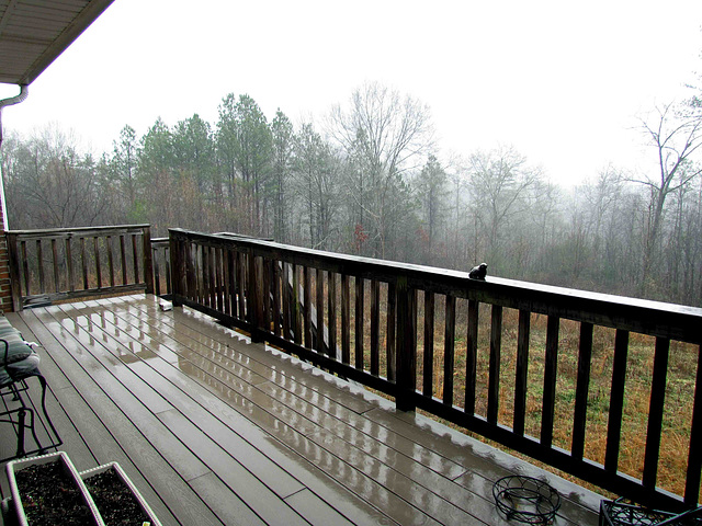 Rain on the Deck