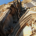 IMG 7197 dpp