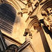 IMG 7194 dpp