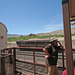 0504 130046 Verde Canyon Railroad