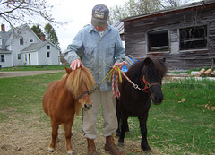 Mr. Sherwin and His Miniature Horses