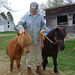 Mr. Sherwin and His Miniature Horses