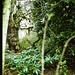 Pet Cemetery, Calwich Abbey, Staffordshire (Scan of a 1970s slide)