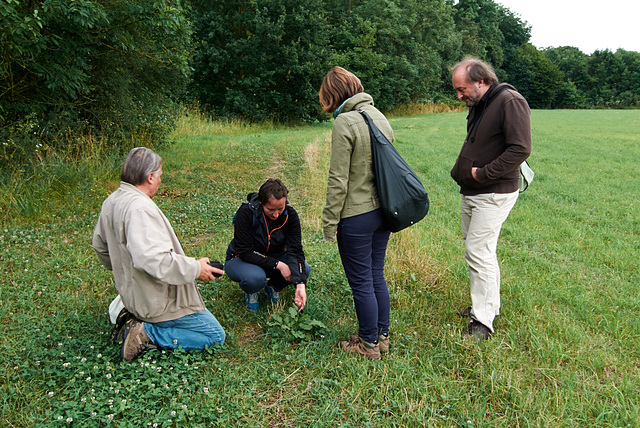 wandergruppe-1190072-co-29-06-14