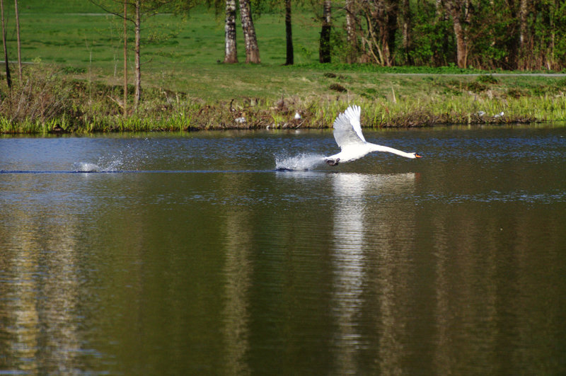 Lift-off