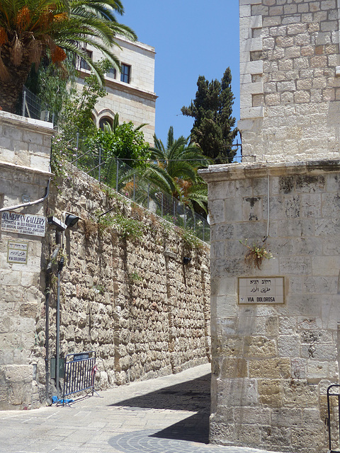 Via Dolorosa (1) - 18 May 2014