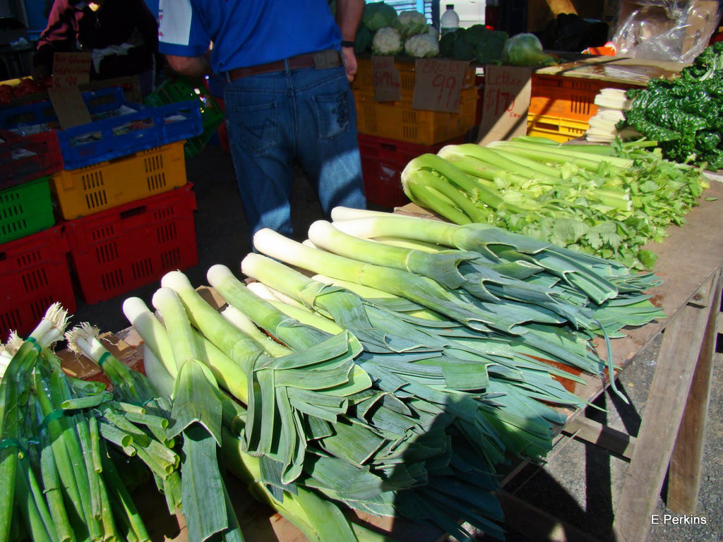 Spring onions, leeks, celery, silver beet