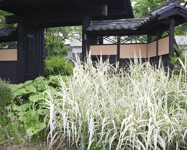 Traditional gate