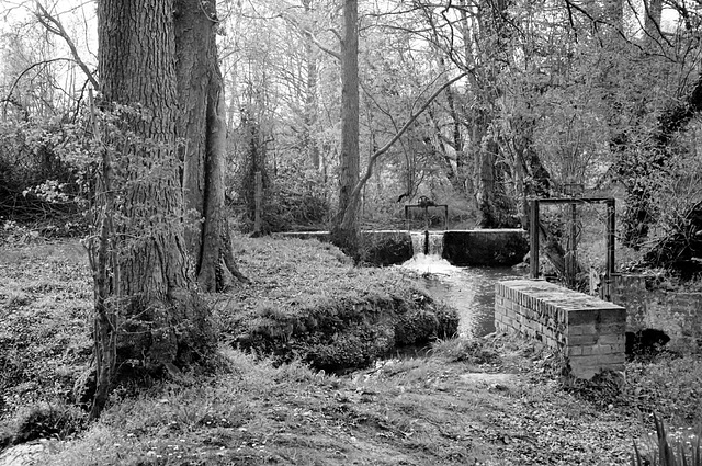 Parc du château de St-Germain-de-Livet