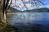 Lake Crescent