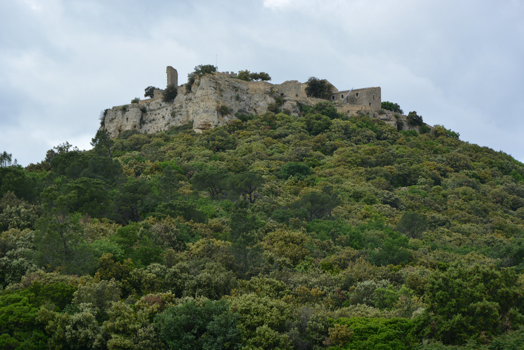 Château de Gicon