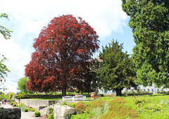 Park von Schloss Zeil