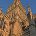 IMG dpp 7219 0 1 AS dpp