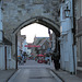 IMG 7259 dpp