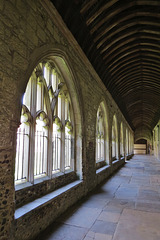 chichester cathedral  cloisters