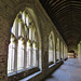 chichester cathedral  cloisters