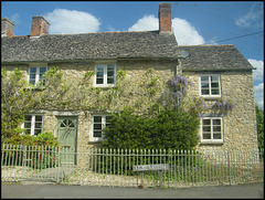 Tackley wisteria