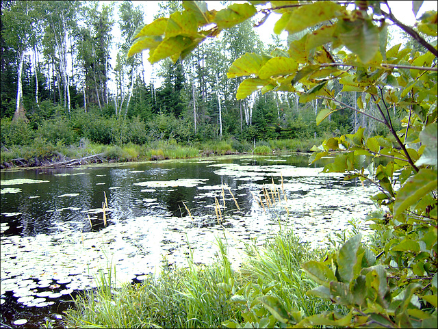 Boundary Waters