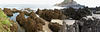 Tour: Paso Encumeada - Paul da Serra - Porto Moniz - Funchal  ©UdoSm