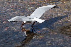 IMG 7864 dpp IMG 7864 dpp