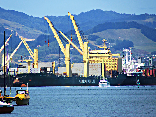 At the Port of Tauranga, Mount Maunganui