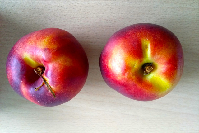 Nectarine