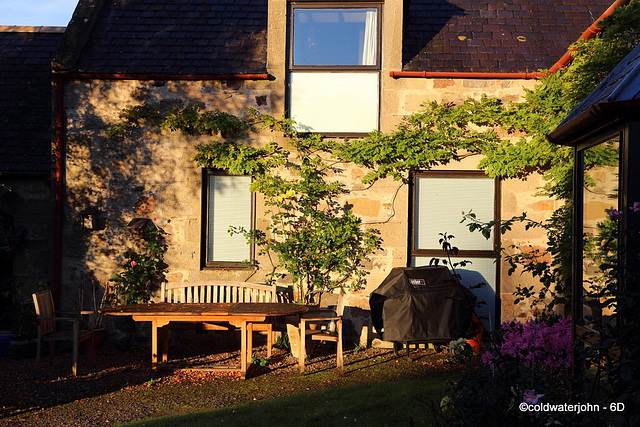 Early morning sunshine in the courtyard