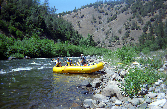 15-yellow_oar_boat_ig_adj