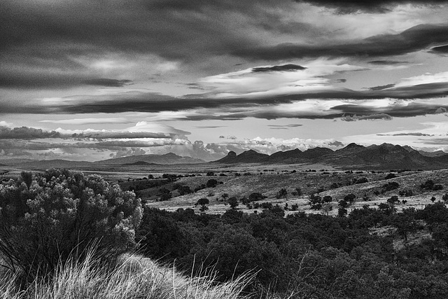 The Mustang Mountains