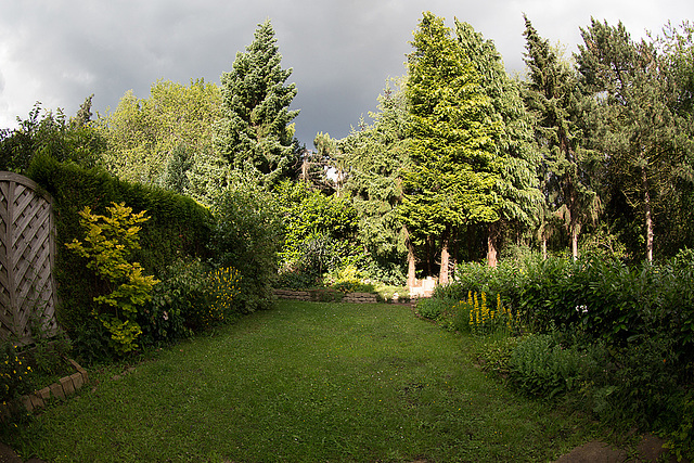 20140625 3579VRFw [D~LIP] Garten, Bad Salzuflen [15mm]